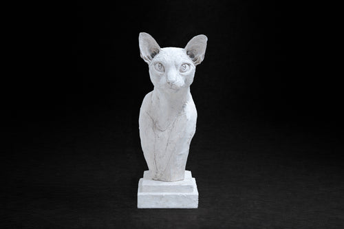 White plaster portrait bust of an Abyssinian cat with large ears on a stepped square base.