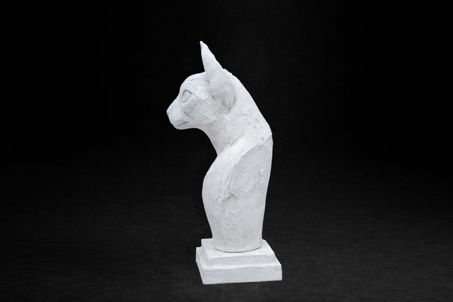 White plaster portrait bust of an Abyssinian cat with large ears on a stepped square base.