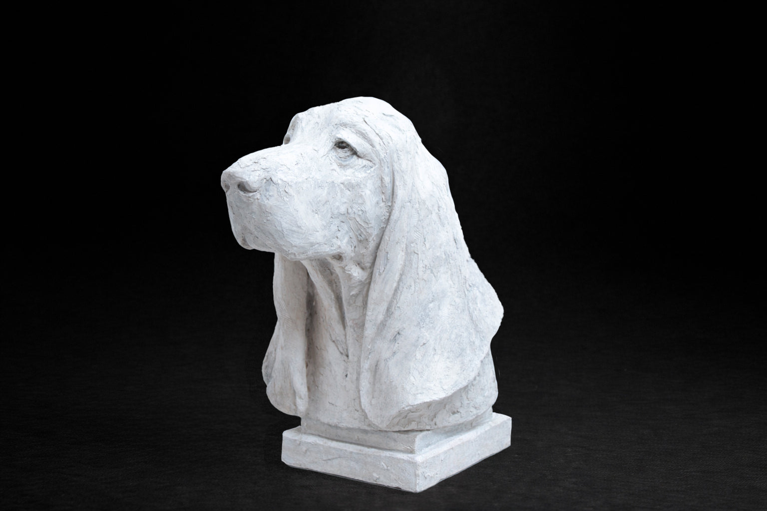 White plaster portrait bust of a Basset Hound with long drooping ears on a stepped square base.