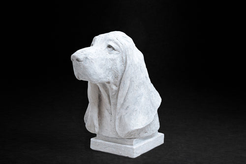 White plaster portrait bust of a Basset Hound with long drooping ears on a stepped square base.