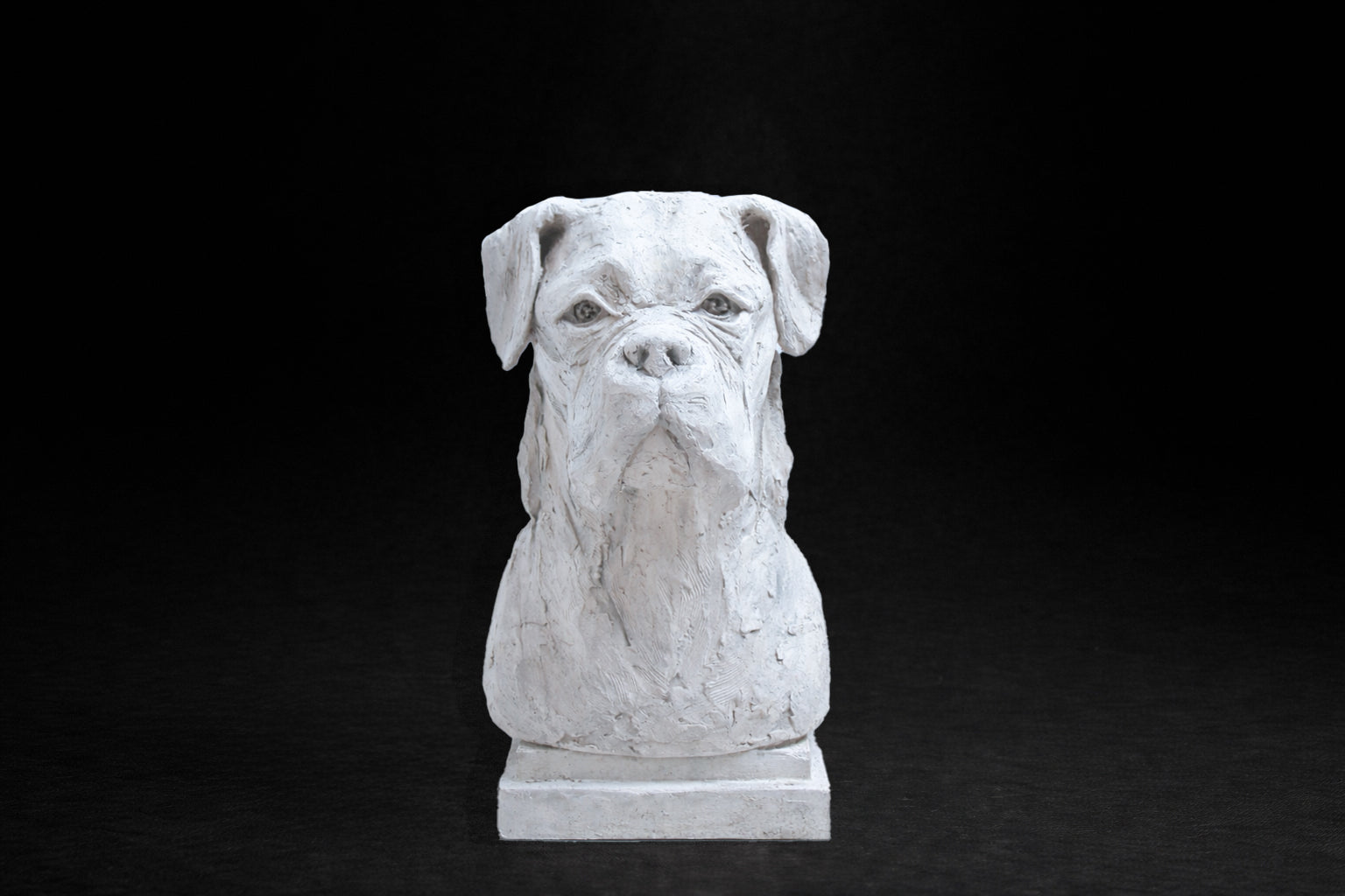 White plaster portrait bust of a Boxer dog with a broad muzzle on a stepped square base.