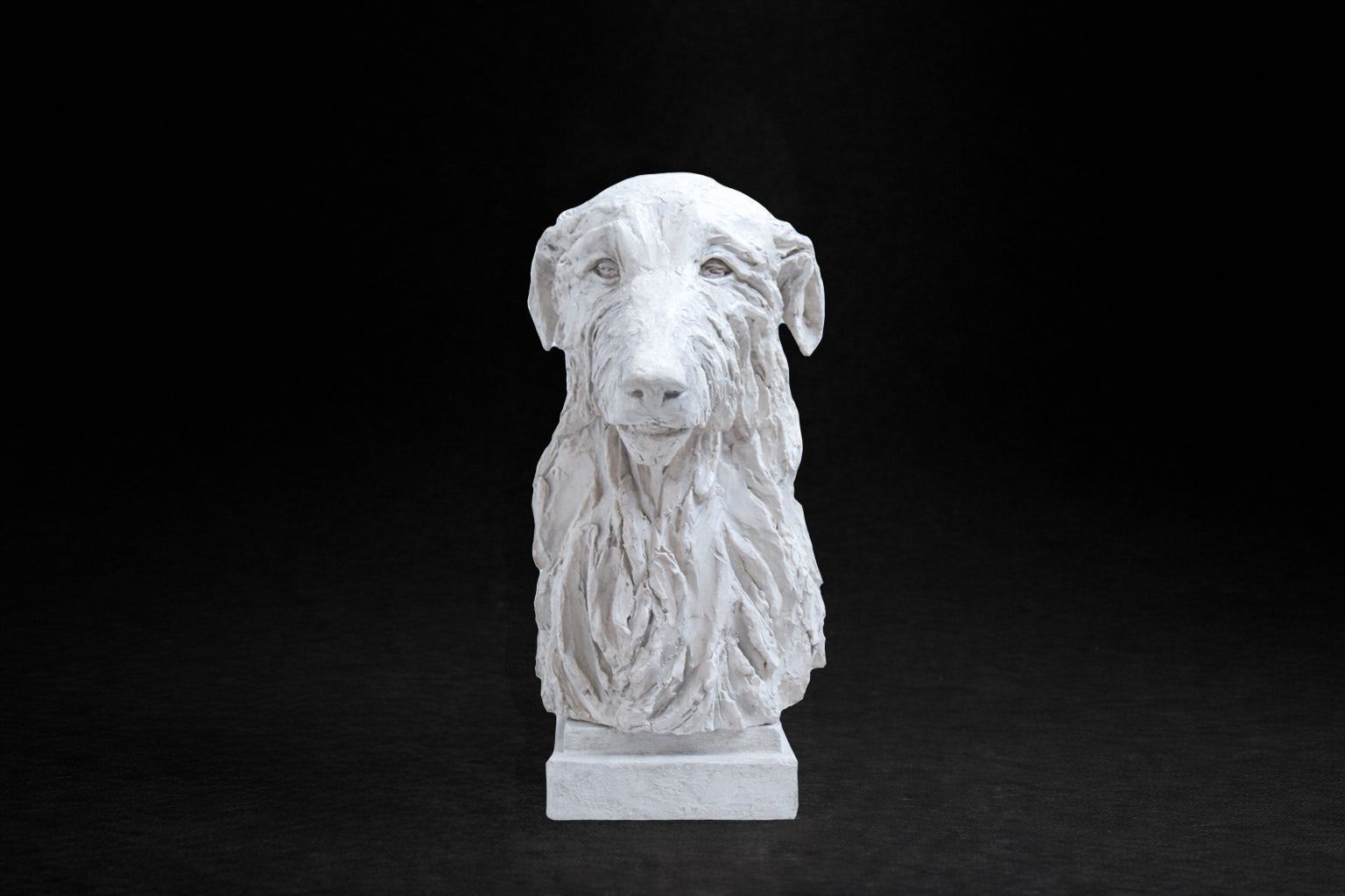 White plaster portrait bust of a Deerhound with a shaggy coat on a stepped square base