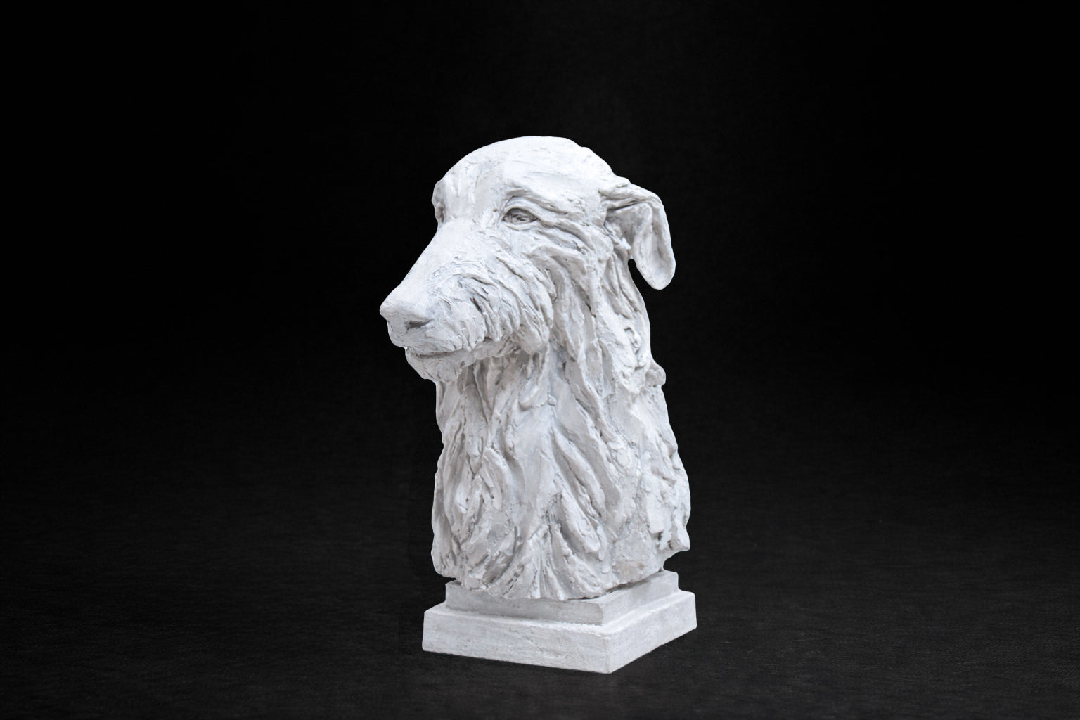 White plaster portrait bust of a Deerhound with a shaggy coat on a stepped square base