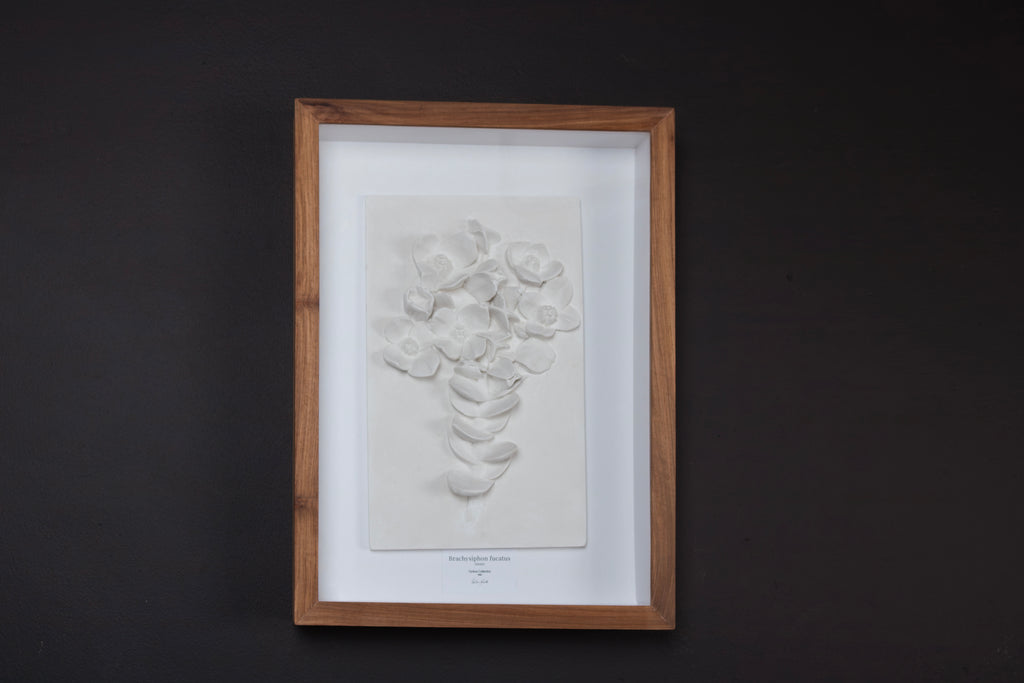 Peninsula Sissies Relief