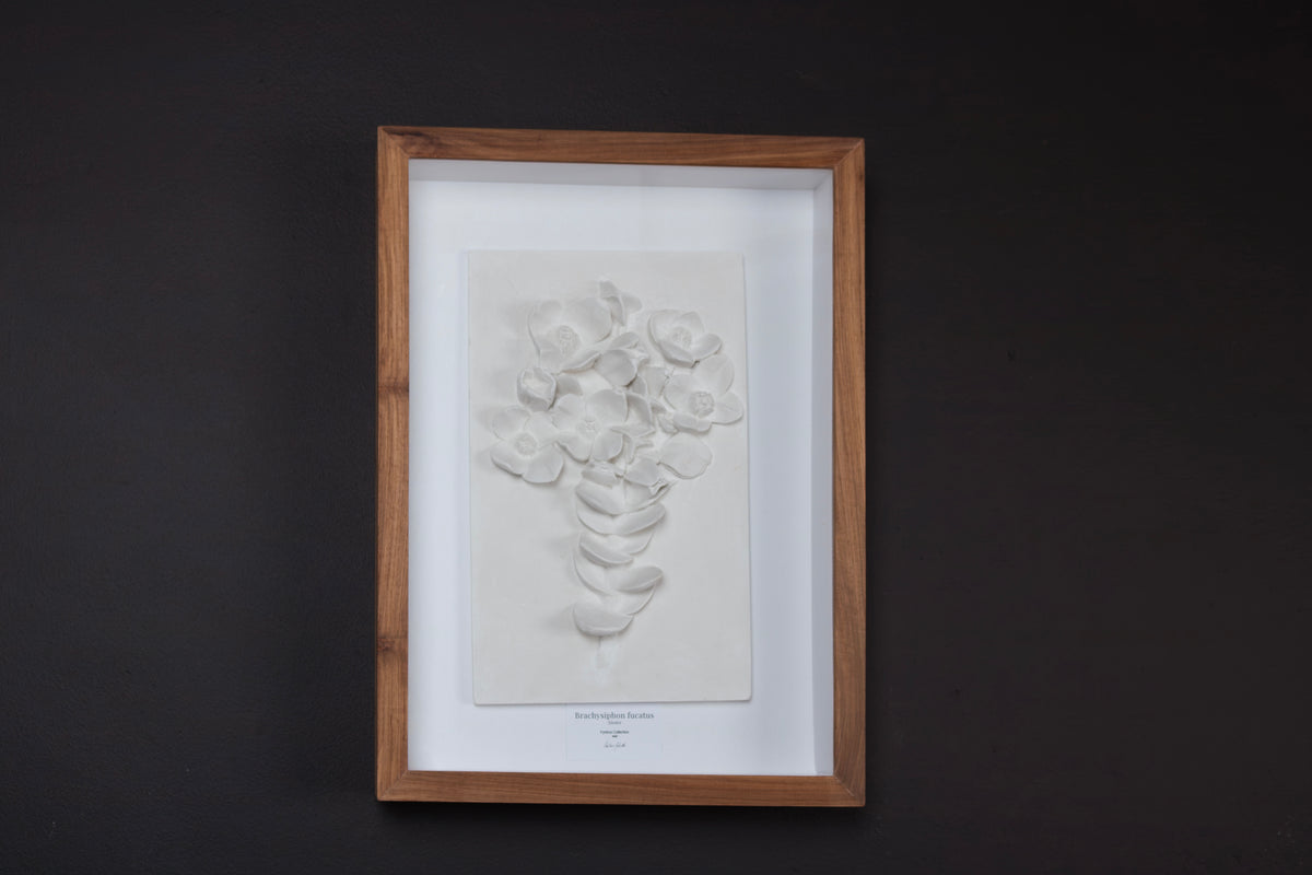 Peninsula Sissies Relief