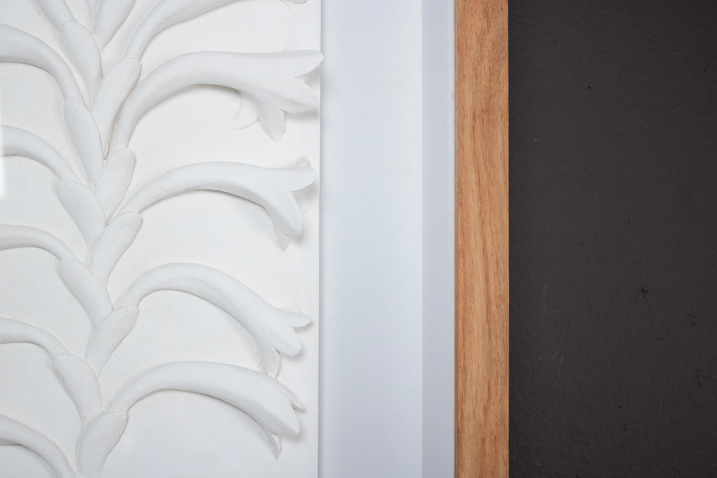 Watsonia Relief