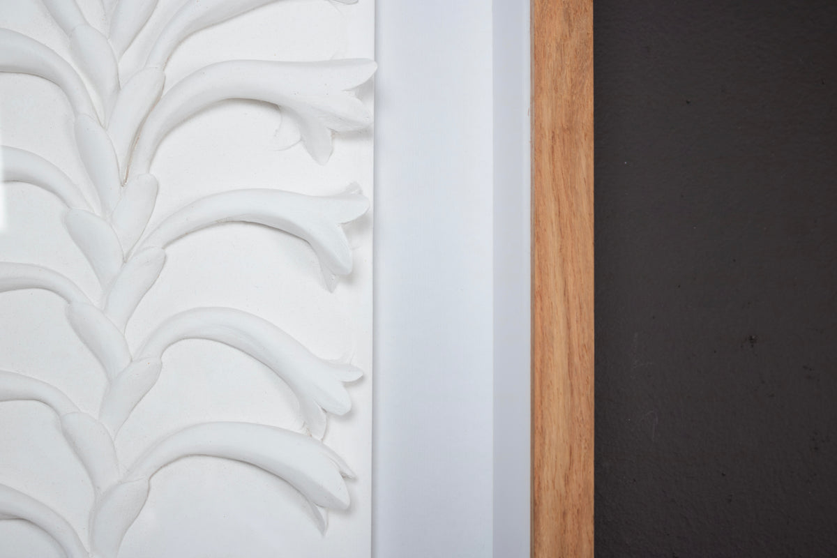 Watsonia Relief