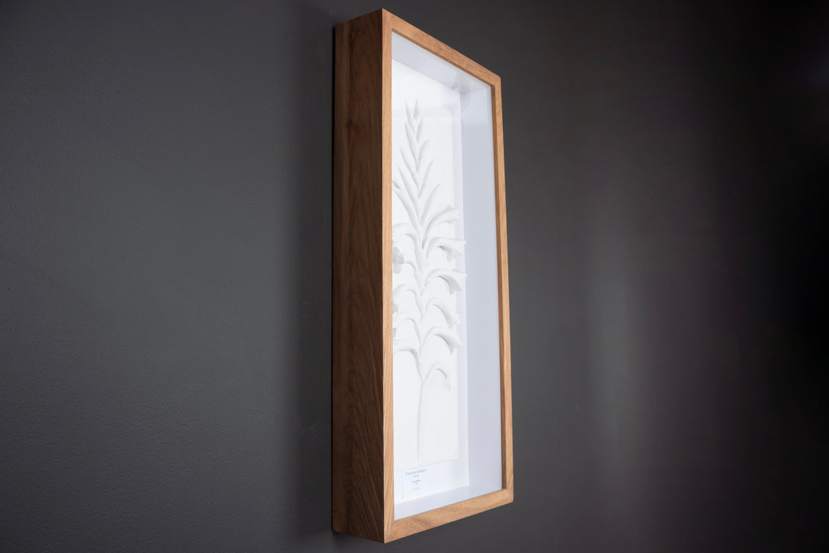 Watsonia Relief