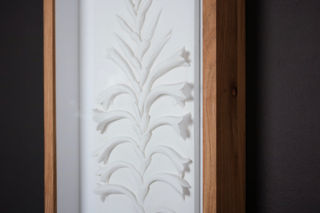 Watsonia Relief