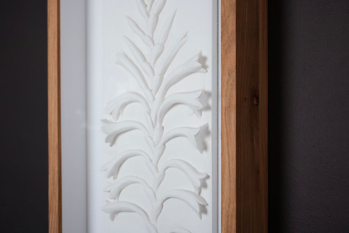 Watsonia Relief