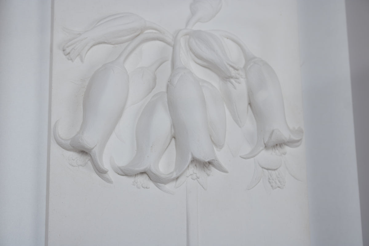 Pig's ear Relief
