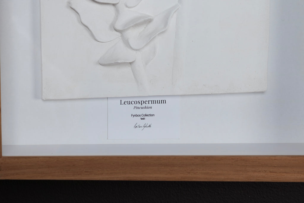 Pincushion Relief