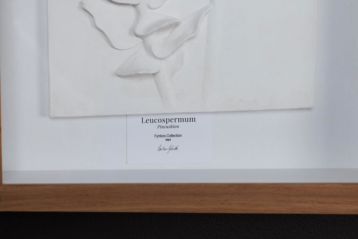 Pincushion Relief