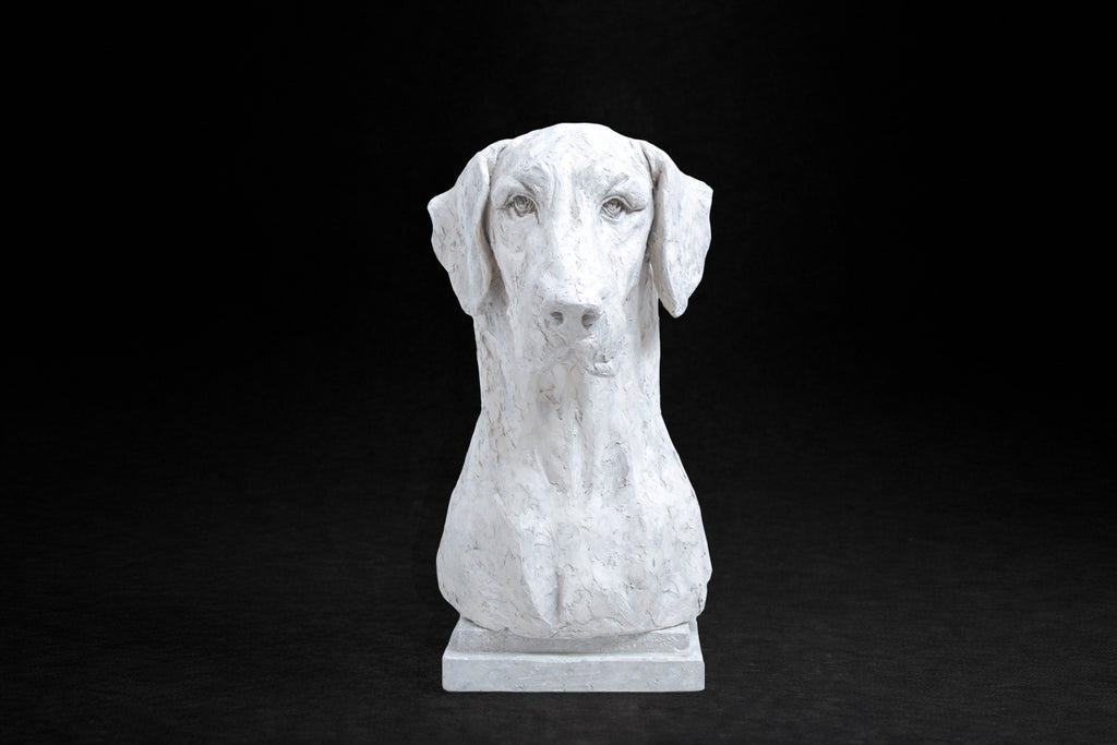 A white plaster bust of a Great Dane by artist Tania Lee. The sculpture is rendered with expressive hand-worked texture. The dog has a calm, dignified expression, long ears falling softly at either side of a broad, finely detailed face.