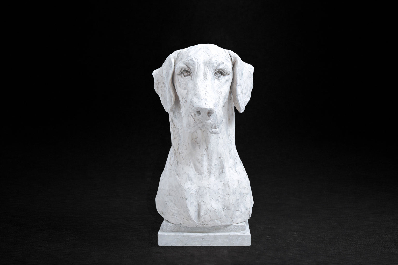 A white plaster bust of a Great Dane by artist Tania Lee. The sculpture is rendered with expressive hand-worked texture. The dog has a calm, dignified expression, long ears falling softly at either side of a broad, finely detailed face.