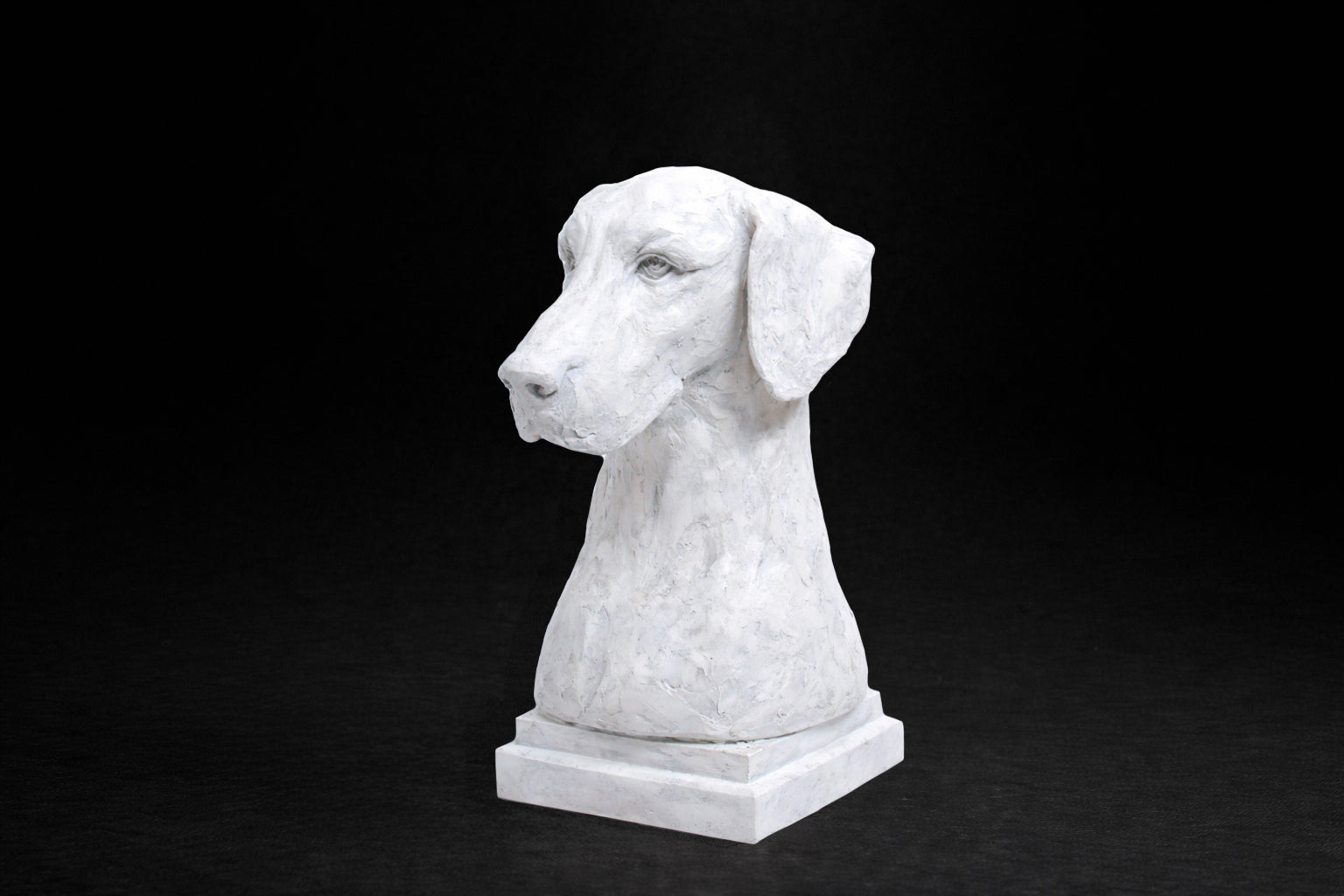 A white plaster bust of a Great Dane by artist Tania Lee. The sculpture is rendered with expressive hand-worked texture. The dog has a calm, dignified expression, long ears falling softly at either side of a broad, finely detailed face.