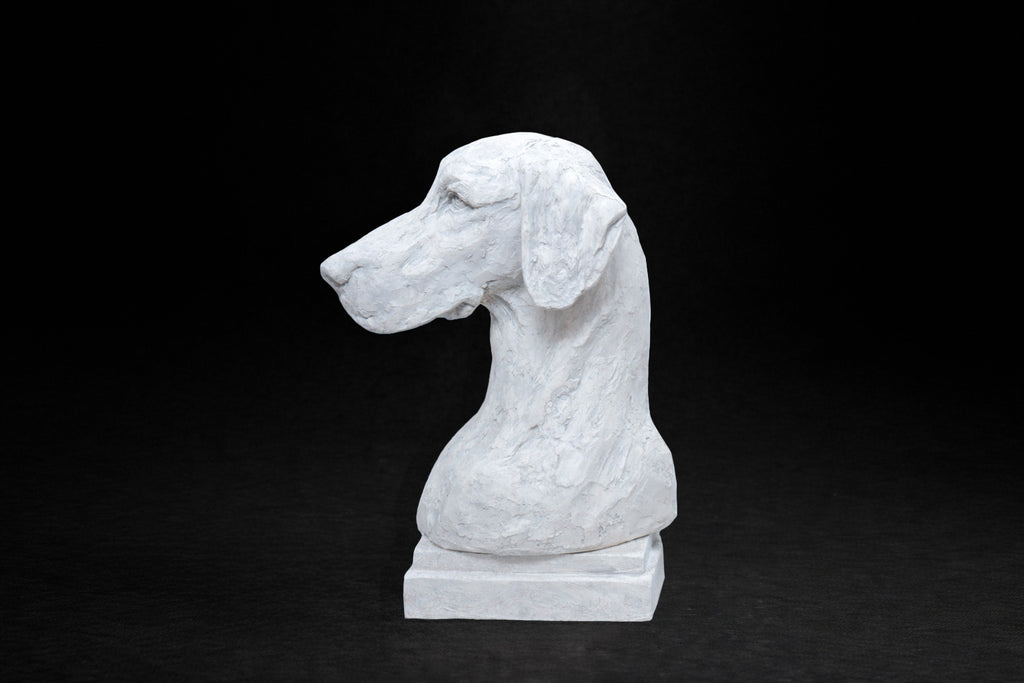 A white plaster bust of a Great Dane by artist Tania Lee. The sculpture is rendered with expressive hand-worked texture. The dog has a calm, dignified expression, long ears falling softly at either side of a broad, finely detailed face.