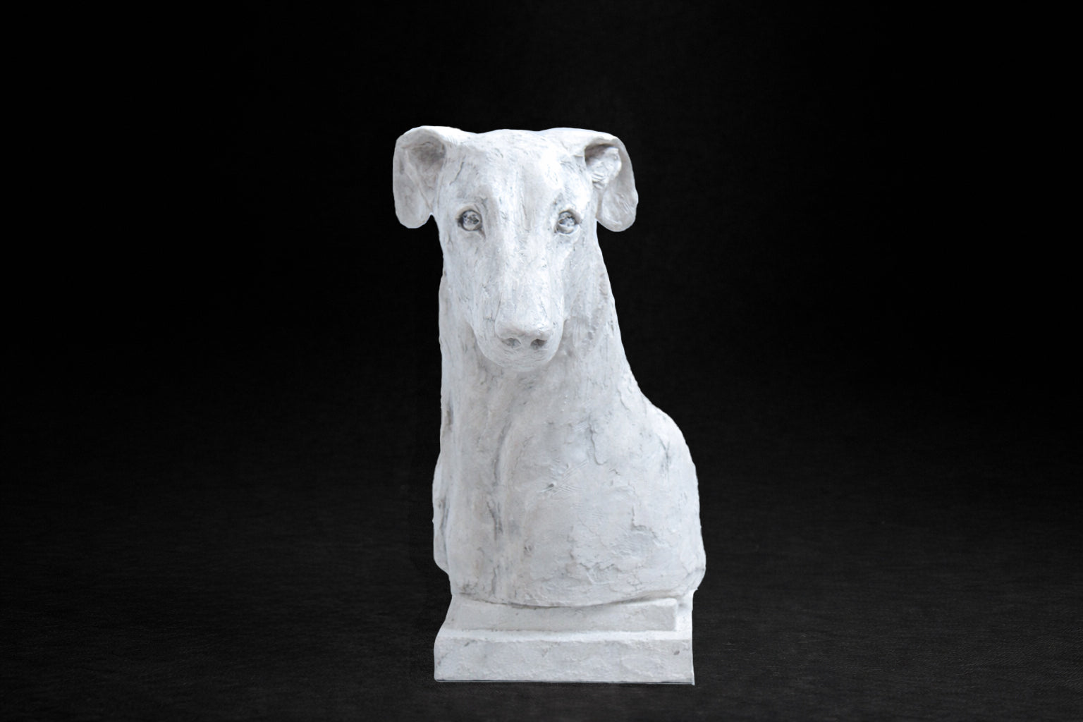 White plaster portrait bust of a Greyhound with a long narrow muzzle on a stepped square base