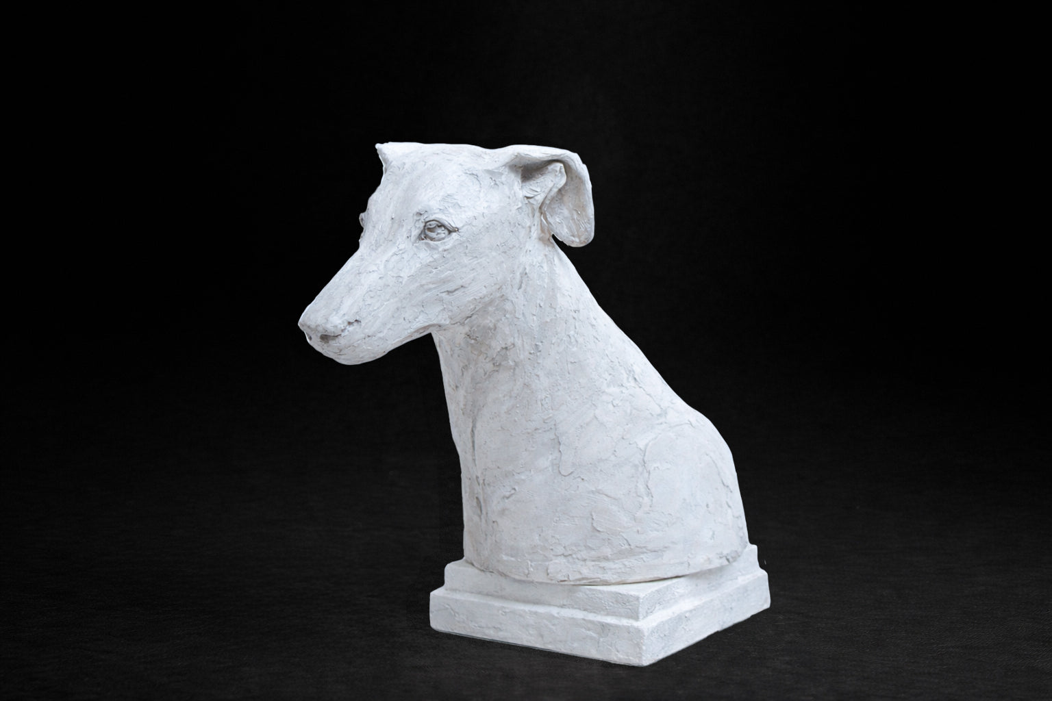 White plaster portrait bust of a Greyhound with a long narrow muzzle on a stepped square base