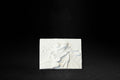 White plaster relief tile depicting a red-eyed tree frog among tropical vegetation.
