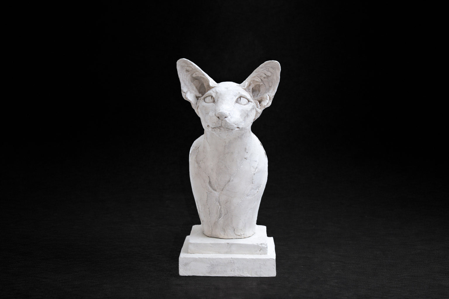 White plaster portrait bust of an Oriental cat with large upright ears and a slender neck on a stepped square base