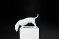 White plaster sculpture of a dachshund leaning forward off the edge of a square plinth.