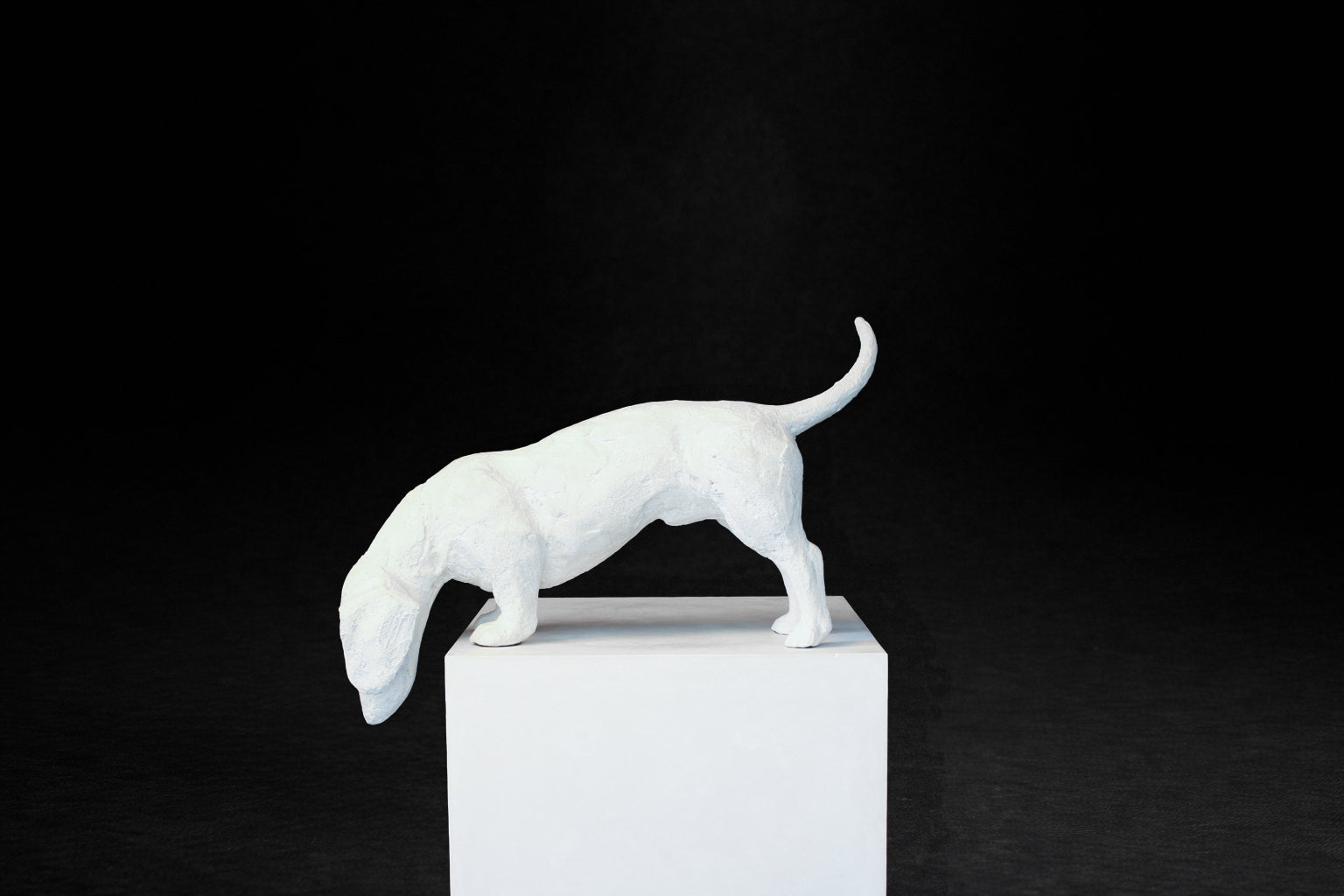White plaster sculpture of a dachshund leaning forward off the edge of a square plinth.