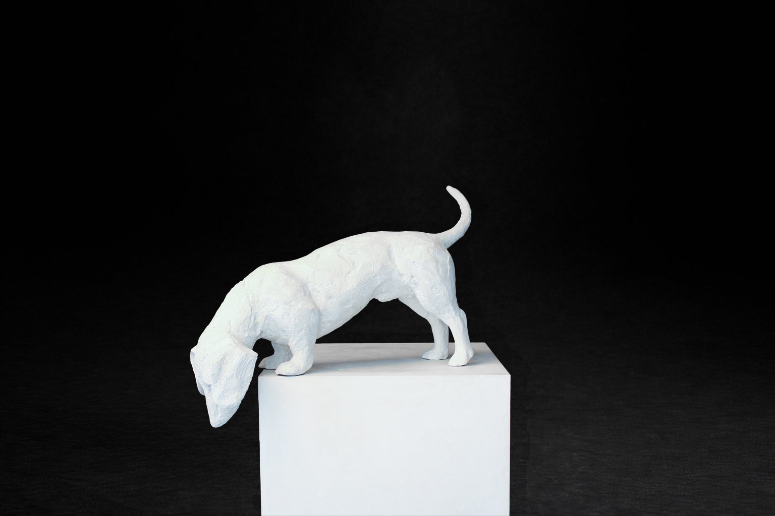 White plaster sculpture of a dachshund leaning forward off the edge of a square plinth.