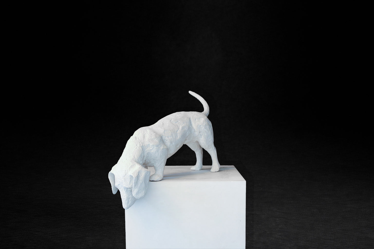 White plaster sculpture of a dachshund leaning forward off the edge of a square plinth.