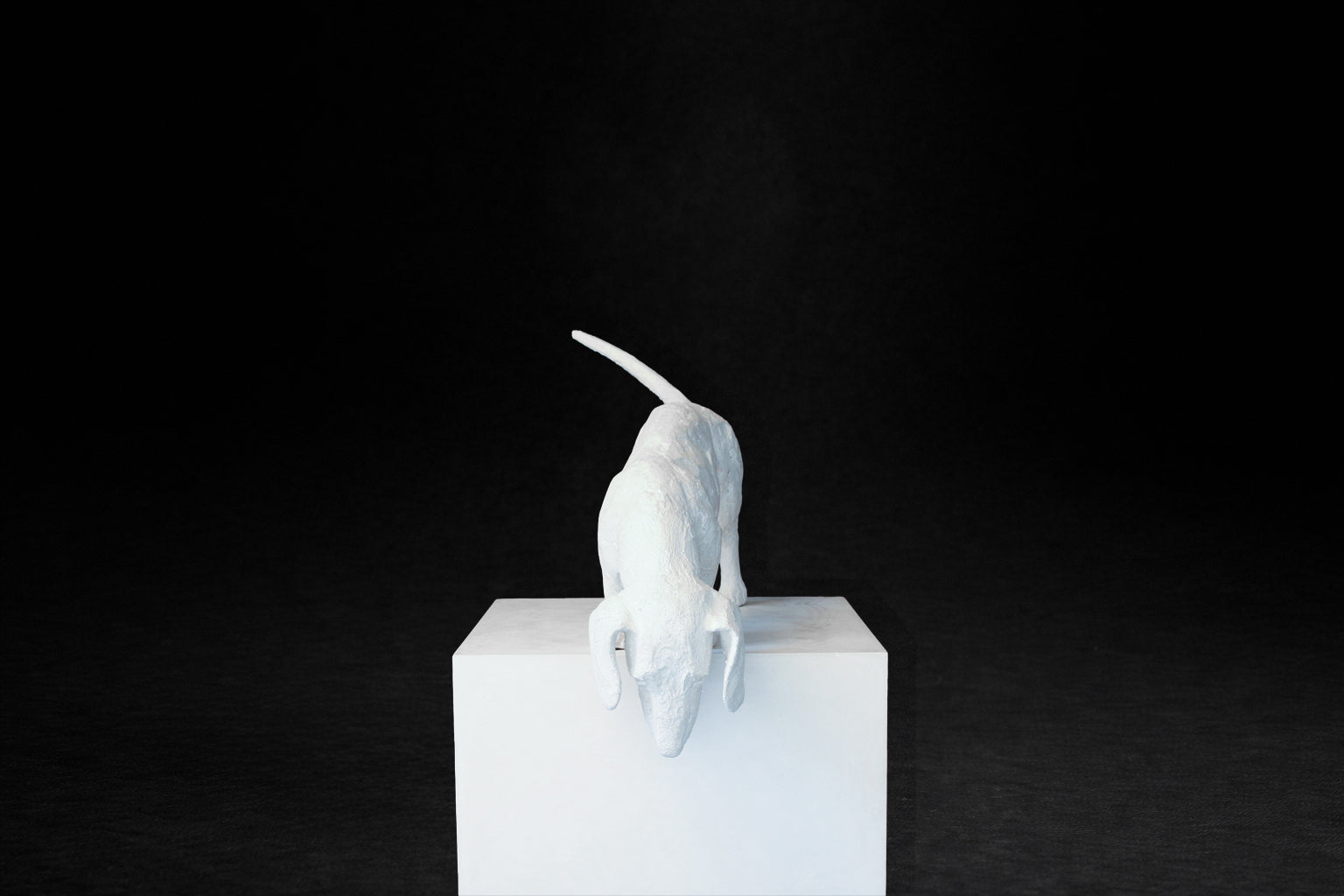 White plaster sculpture of a dachshund leaning forward off the edge of a square plinth.