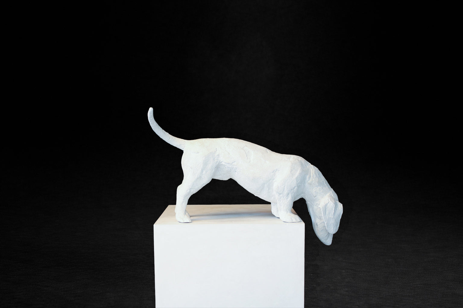 White plaster sculpture of a dachshund leaning forward off the edge of a square plinth.