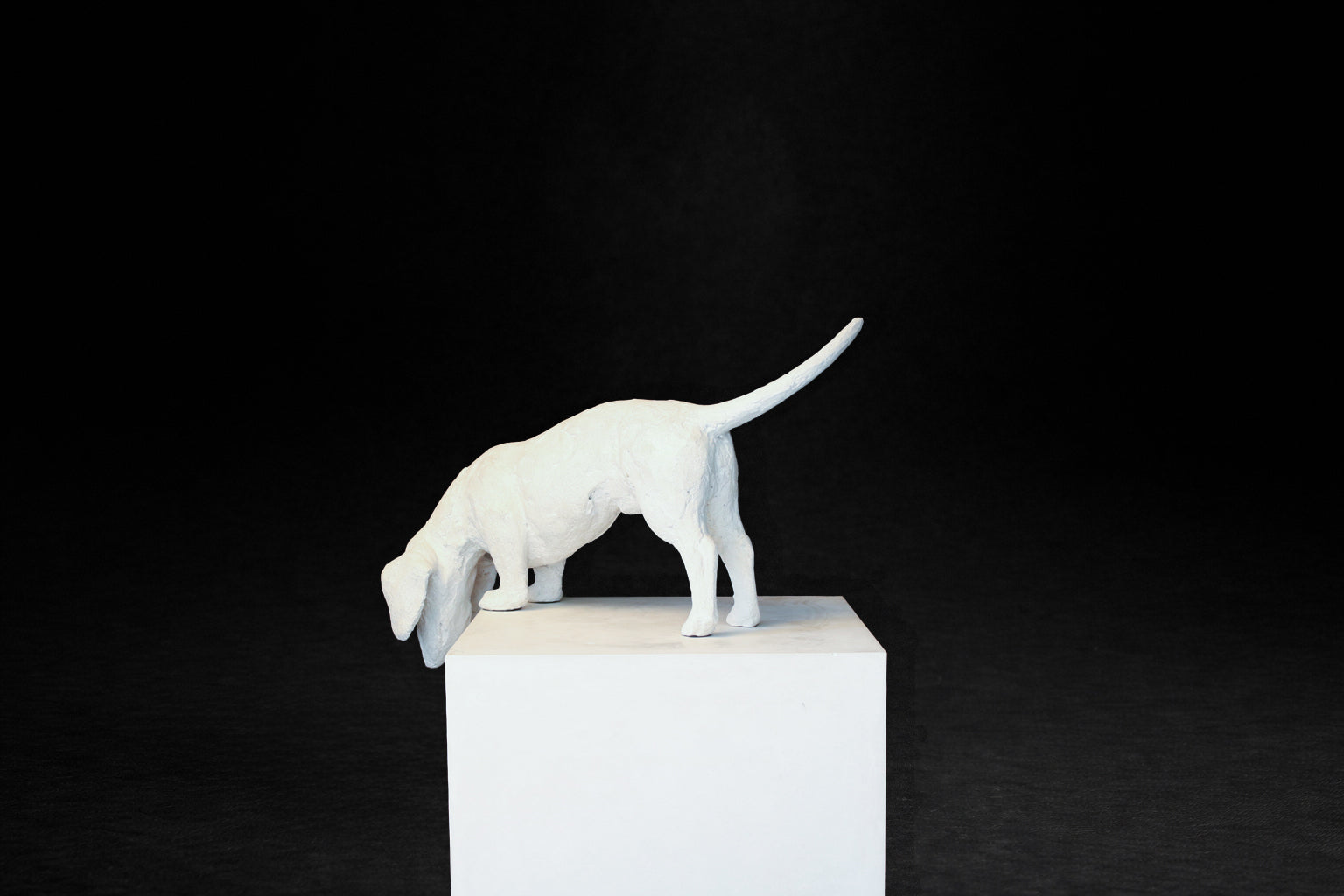 White plaster sculpture of a dachshund leaning forward off the edge of a square plinth.