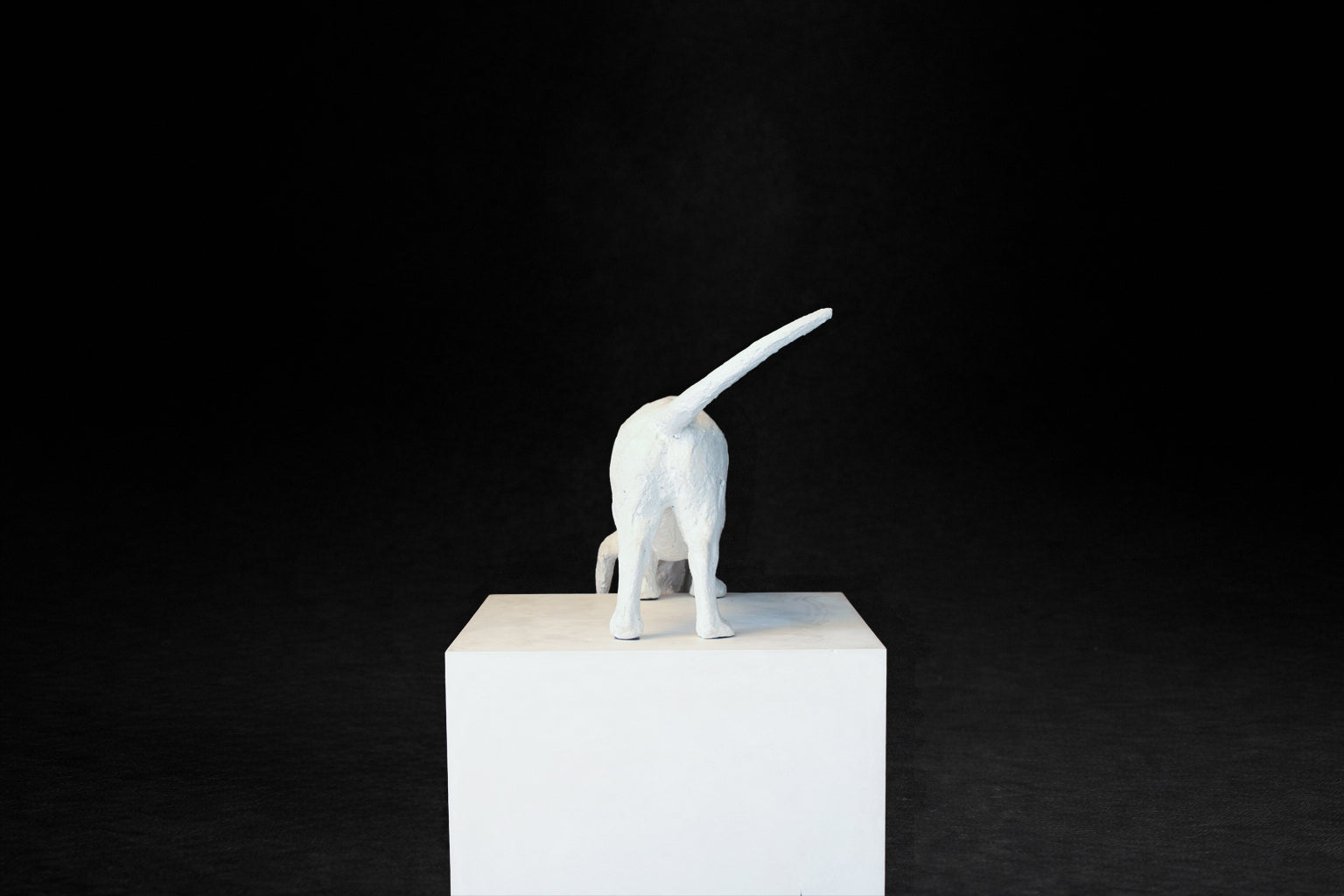 White plaster sculpture of a dachshund leaning forward off the edge of a square plinth.
