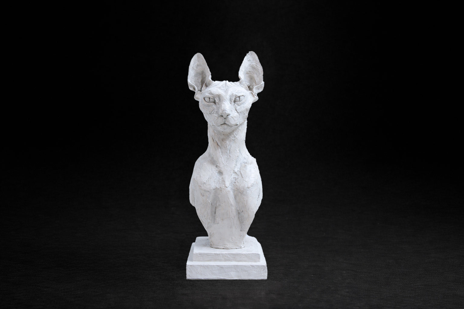 White plaster portrait bust of a Sphinx cat on a stepped square plinth.