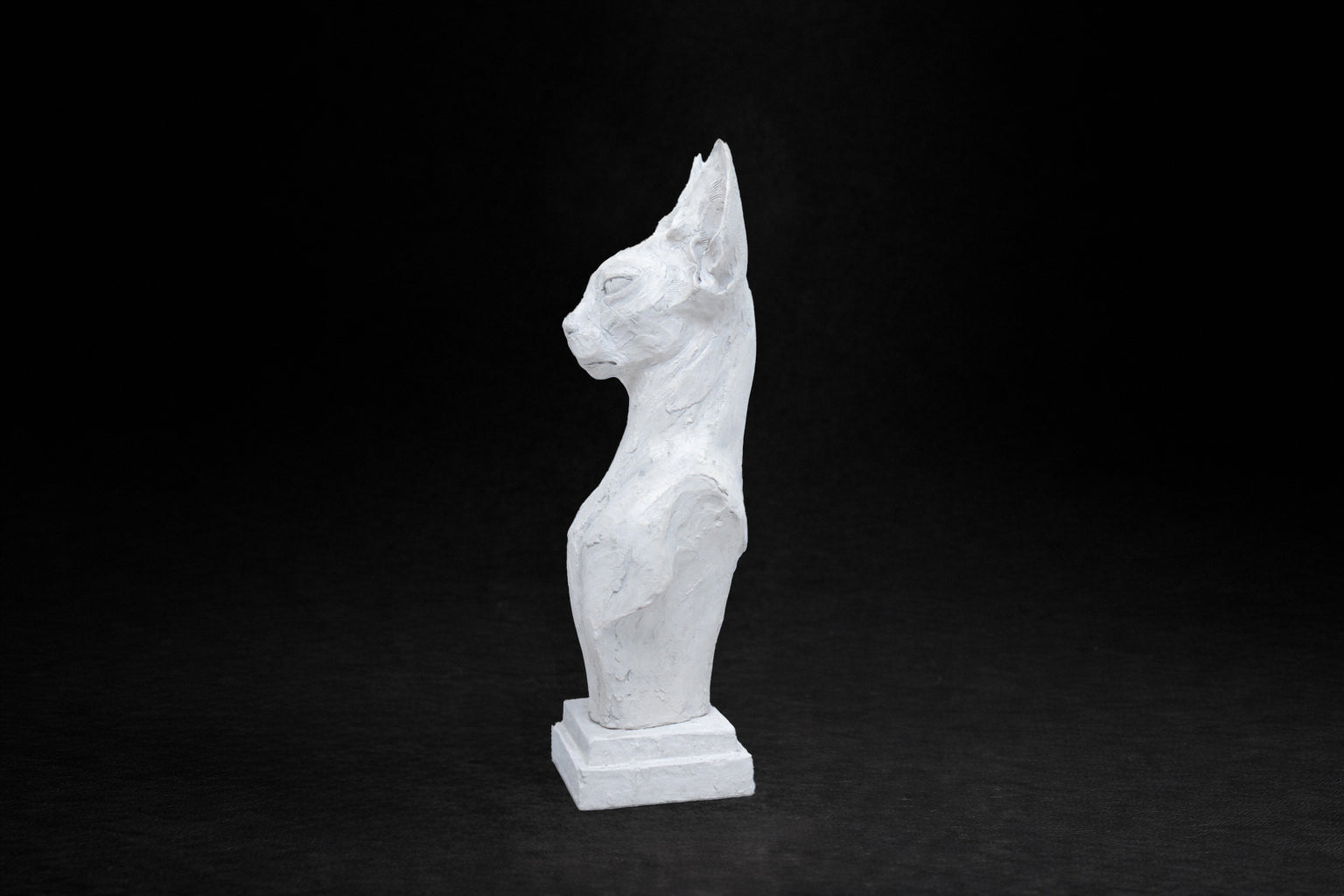 White plaster portrait bust of a Sphinx cat on a stepped square plinth.