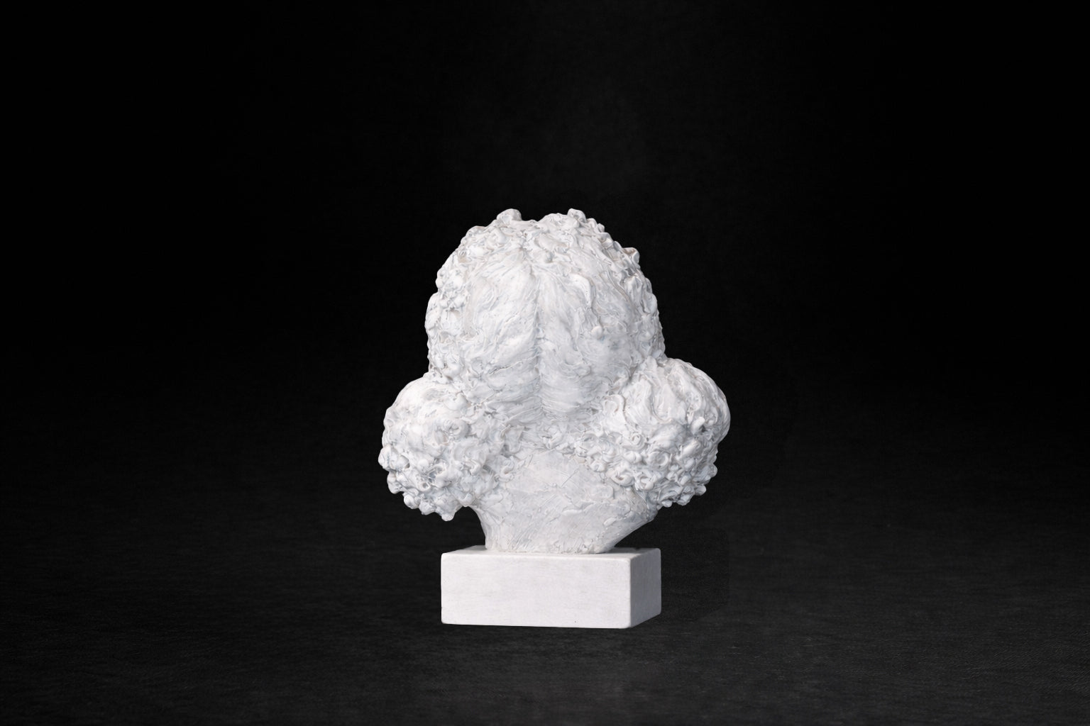 White plaster portrait bust of a young girl with an anguished expression.